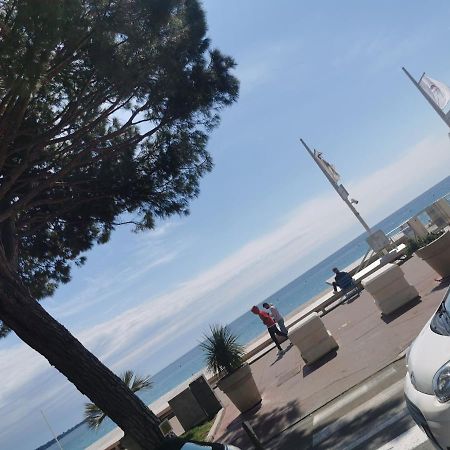 Un Nid D Amour Au Coeur De Cannes Lejlighed Eksteriør billede